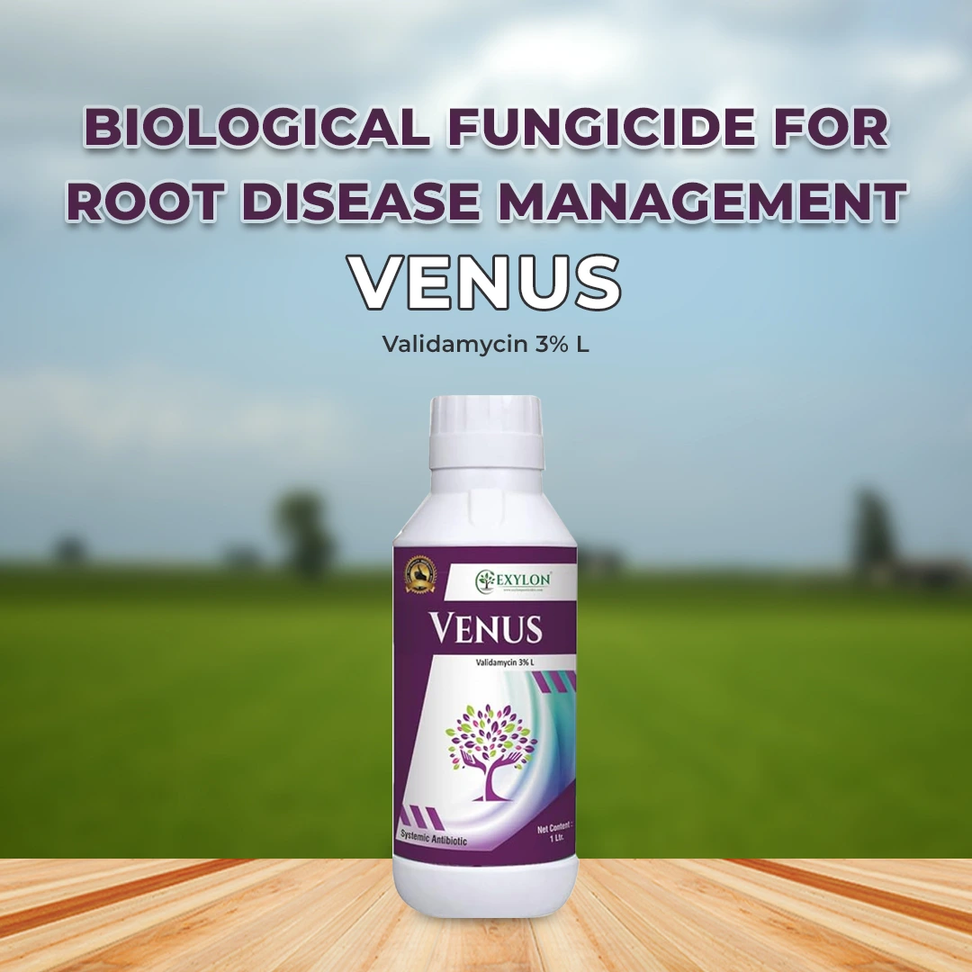Agriventure Valida Antibiotic Fungicide | Buy Online