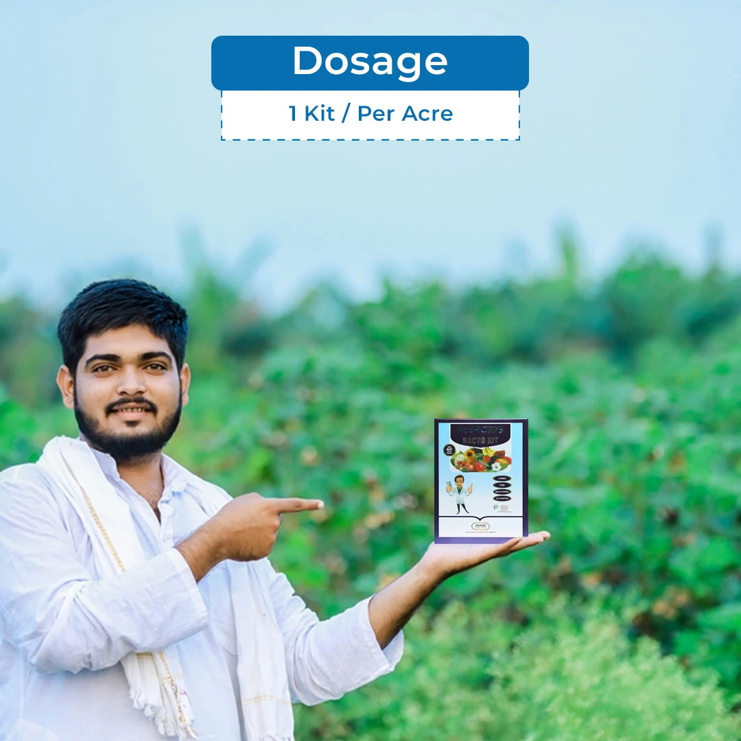 डॉ. बैक्टो की बैक्टो किट, जैव उर्वरक किट में एनपीके कंसोर्टिया, पीएसबी, बैक्टोरिज़ा और एक्टिवेटर-फूड किट (प्रत्येक 200 ग्राम) शामिल हैं। - Image 5