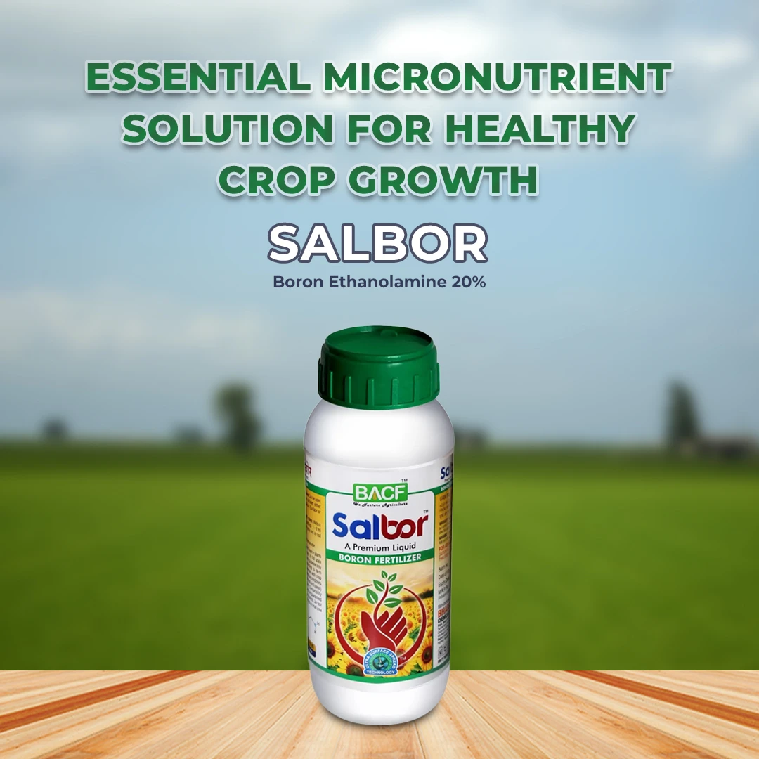 BACF Salbor Boron Ethanolamine, Liquid Boron 10% Foliar Fertilizer, Rich In Boron.  - Image 2