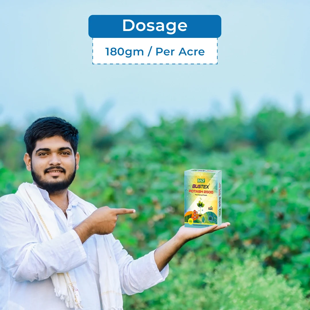 BACF Bustex Potash 2500 Plant Derived Potash (K20 25%), Increases Branching, Flowering and Fruits - Image 5