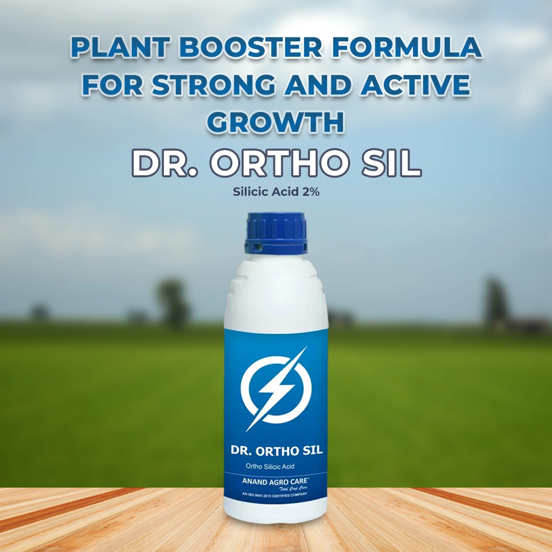 Dr. Ortho Sil Silicic Acid 2%, Regulates Nutrient Production In Plants, Increases Photosynthetic Activity In Plants - Image 2