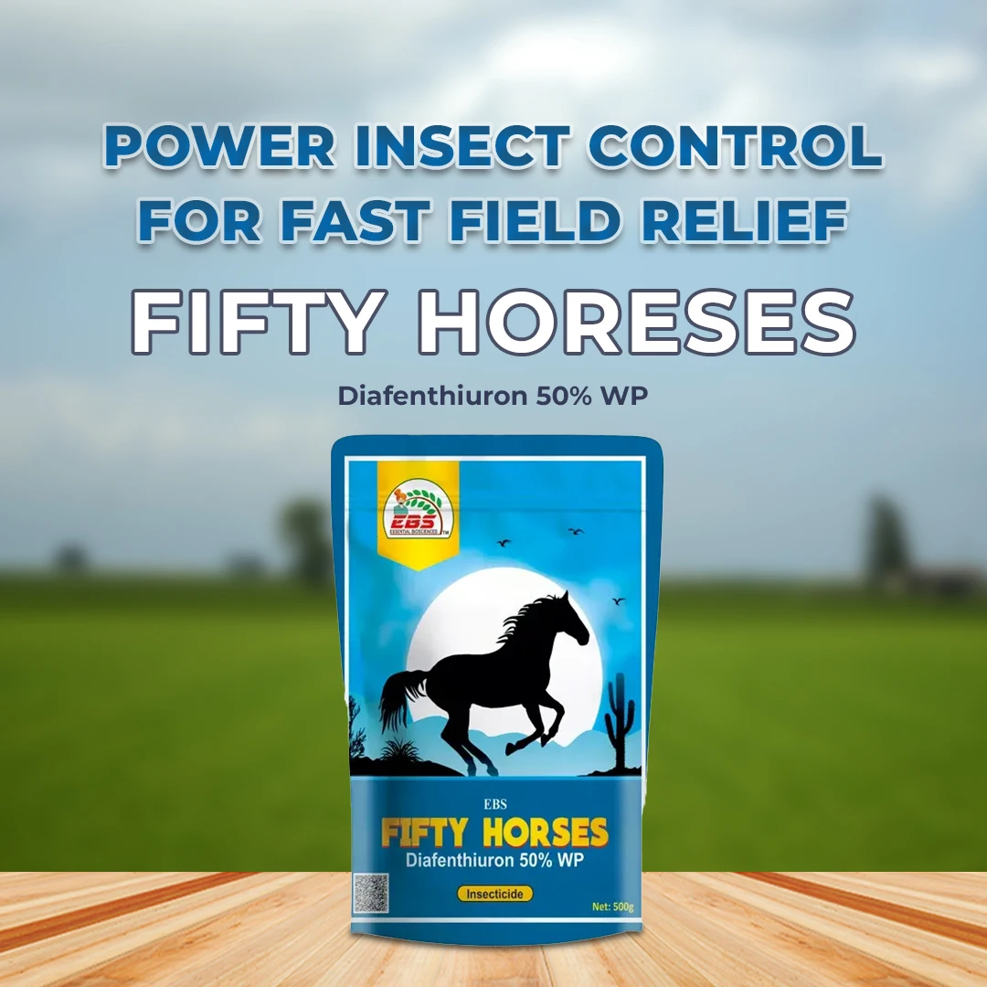 EBS Fifty Horeses Diafenthiuron 50% WP Board Spectrum Insecticide, Control Various Insect Pests and Mites - Image 2