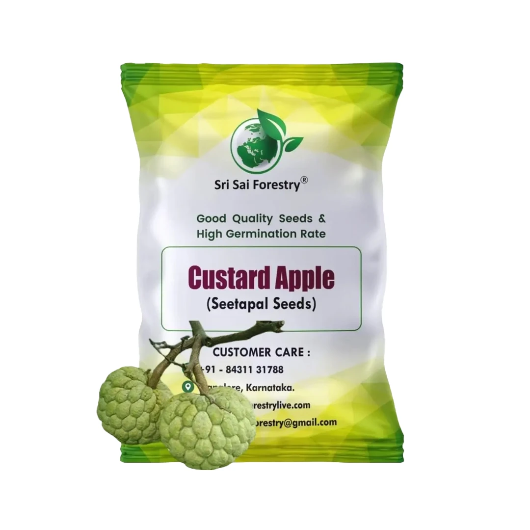 SRI SAI FORESTRY Custard Apple Seeds, Sitafal Ke Beej, Sugar Apple Seeds, Sweetsop Seeds, Annona squamosa Fruit Tree Seeds 