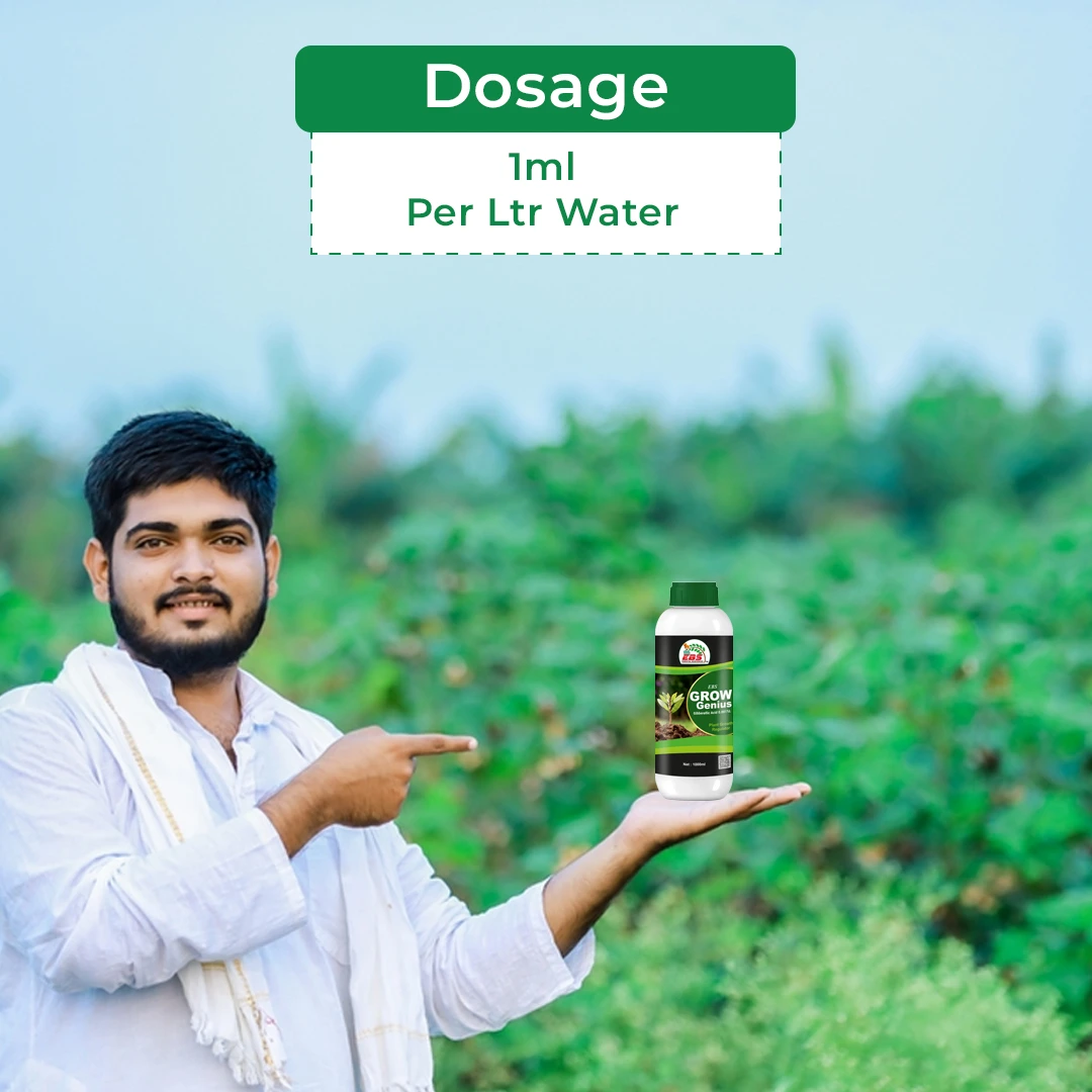 EBS Grow Genius Gibberellic Acid 0.001% L, Which Stimulate & Regulate The Plant Growth - Image 5