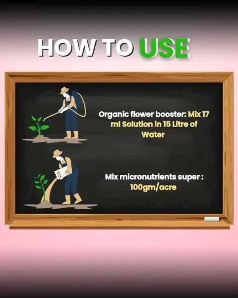 कात्यायनी फ्लावरिंग फर्टिलाइज़र बूस्टर सभी फूलों वाले पौधों के लिए, गुलाब, ऑर्किड, गुलमोहर, चमेली आदि के लिए मिश्रित माइक्रोन्यूट्रिएंट सुपर - Image 3