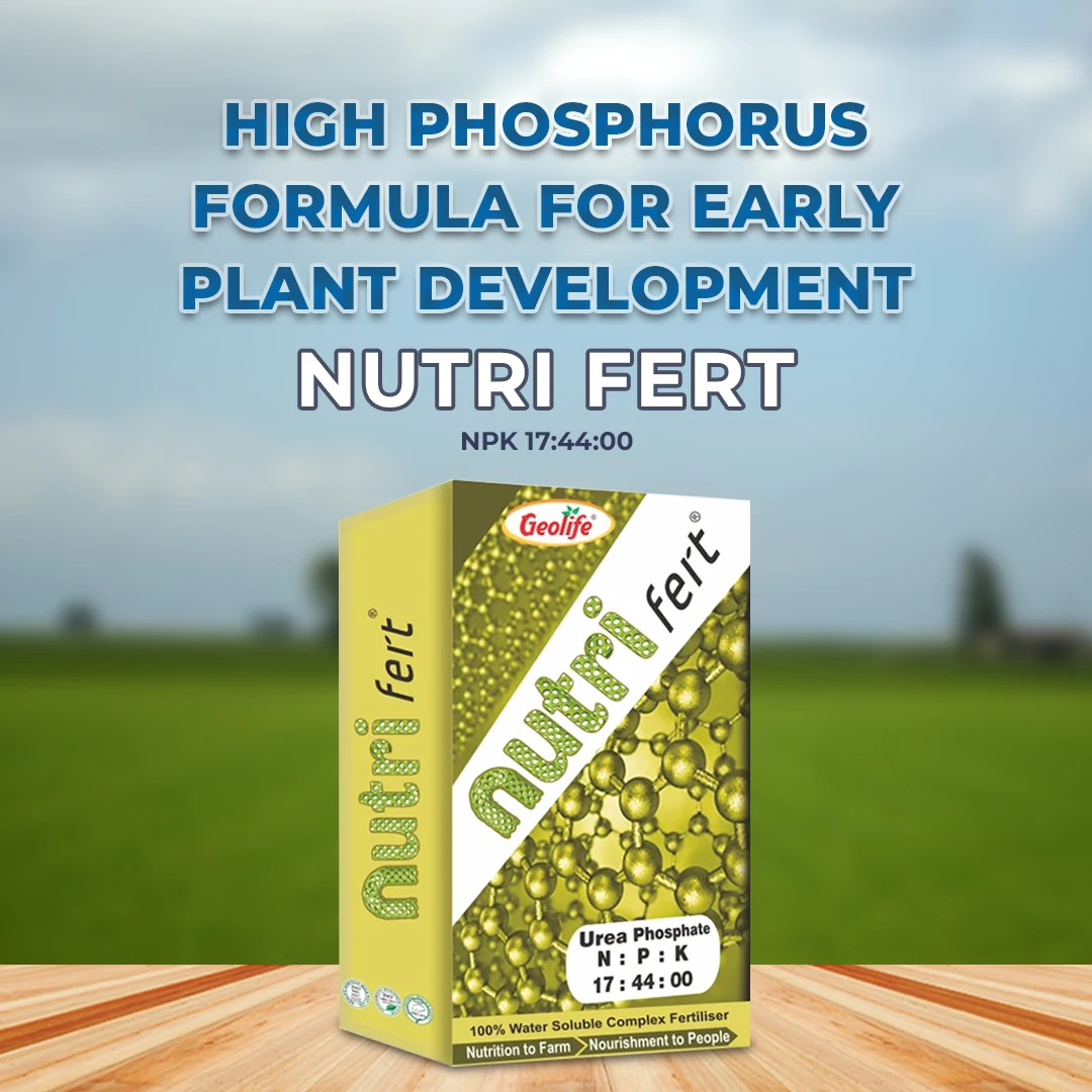 जियोलाइफ नैनो फर्ट फास्फोरस नाइट्रेट एनपीके 17:44:00, जल में घुलनशील उर्वरक - Image 2