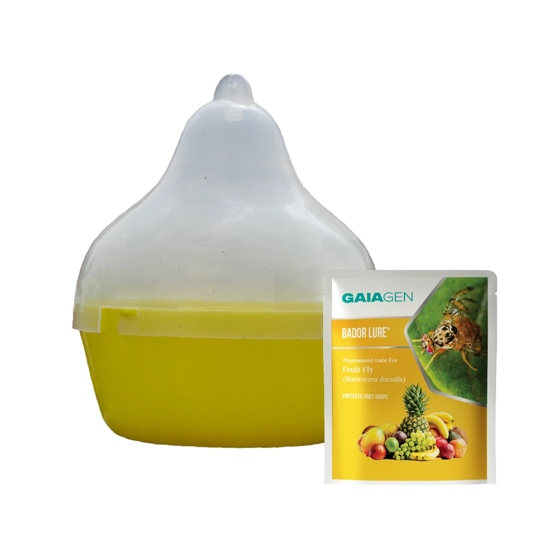 Gaiagen Bador Lure, Pheromone Lure For Fruit Fly (Bactrocera Dorsalis) And Insect Fly Trap, IMO Certified