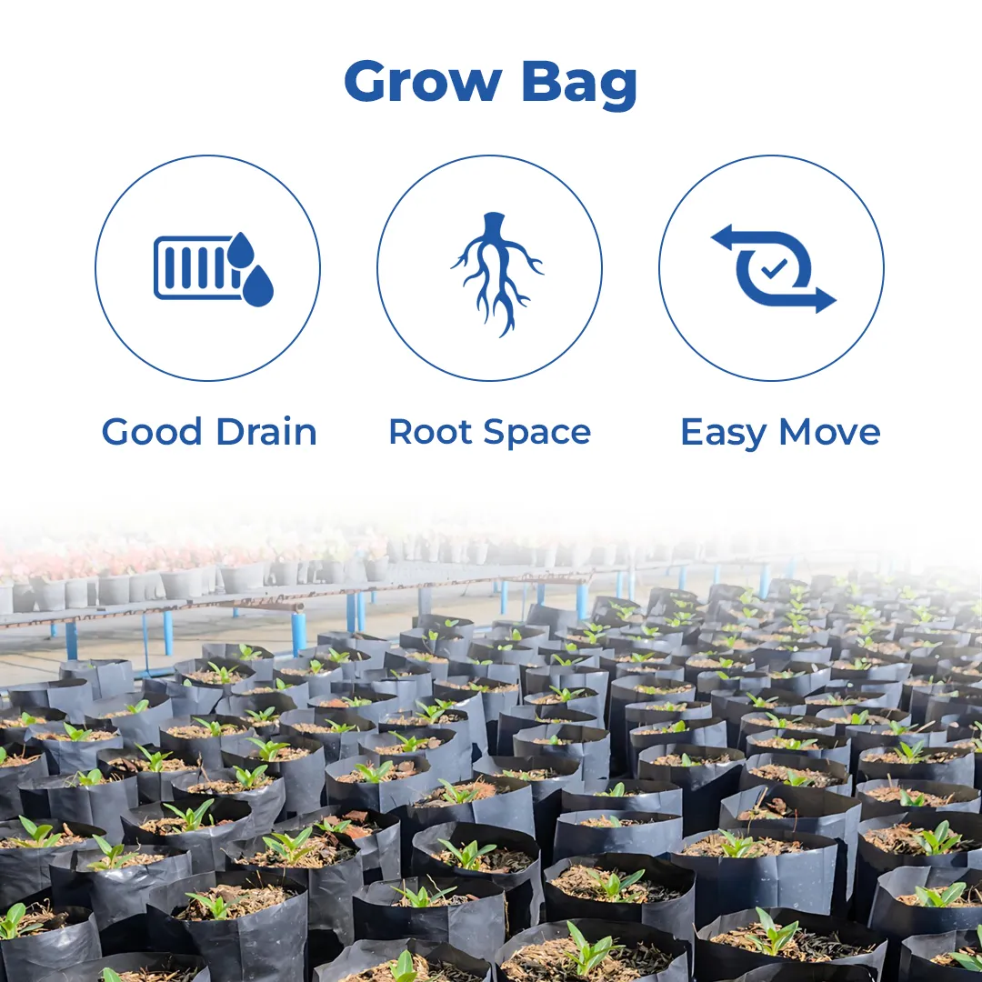 Siddhi Plant Nursery Bags, Grow Bag, 100% UV Protected, Long life durability - Image 3