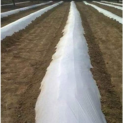Siddhi Mulch Film Mulching Sheet, (1 Meter Width X 400 Meters Length) Black And White For Agriculture & Horticulture - Image 2