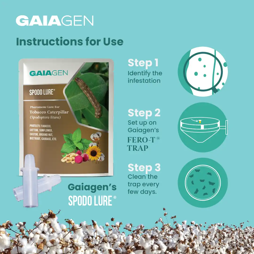Gaiagen Tobacco Caterpillar (Spodoptera Litura) Pheromone Lure And Insect Funnel Traps, IMO Certified. - Image 6
