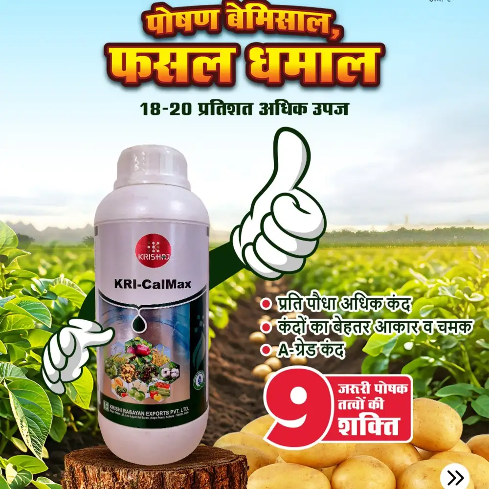 Krishi Rasayan KRI-CalMax Calcium + Micronutrients Mixture Fertilizer For All Crops - Image 5