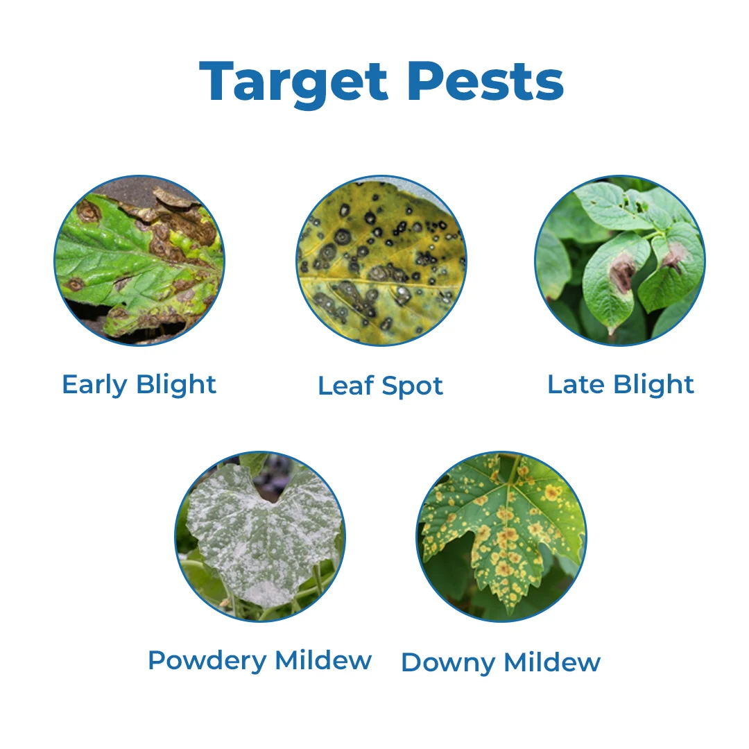 ईबीएस सी-जेब मैन्कोजेब 75% डब्ल्यूपी. फफूंदनाशक, धान की पत्तियों पर होने वाले सभी फफूंद, कृषि पौधों और घरेलू उद्यान के लिए उपयोग करें. - Image 3