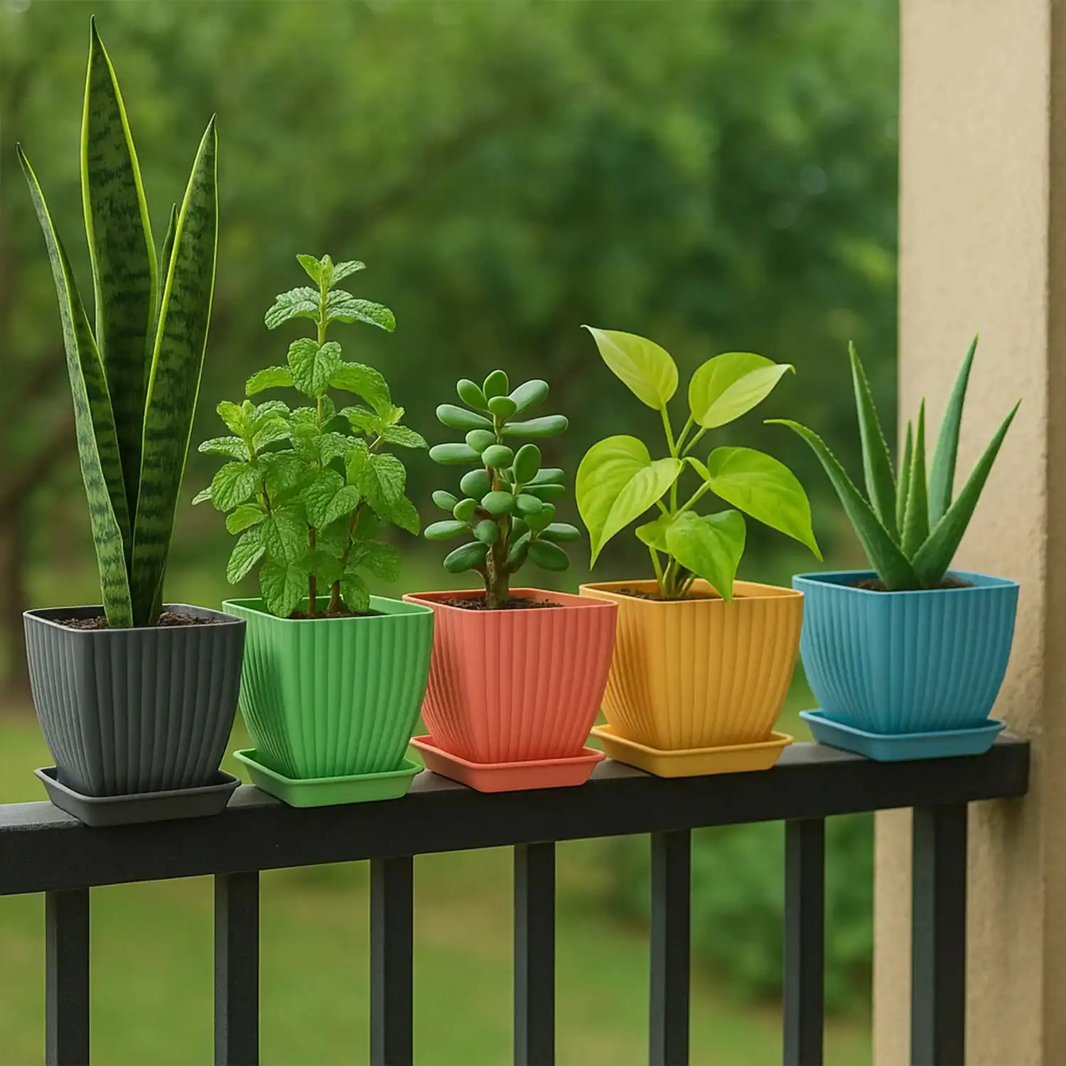 Trendy Flower Pots