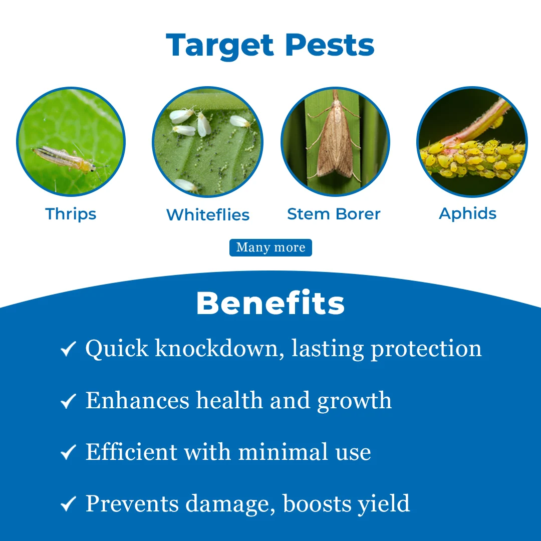 Sumitomo Kemlox 725 Quinalphos 25% EC Insecticide, Sucking And Chewing Pests In Cotton, Paddy And Oilseeds - Image 3