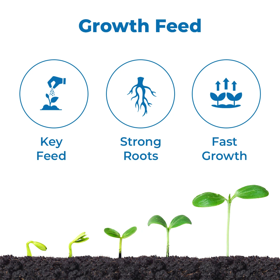 Noble Zyme Fertilizer - Organic Seaweed Zyme