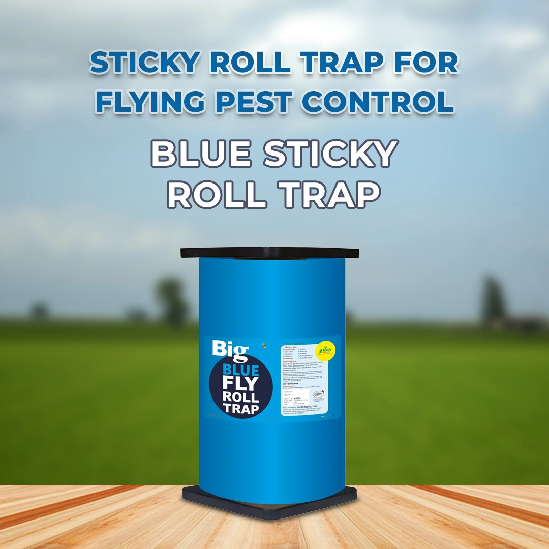 Shop Green Revolution Blue Sticky Roll Trap Online