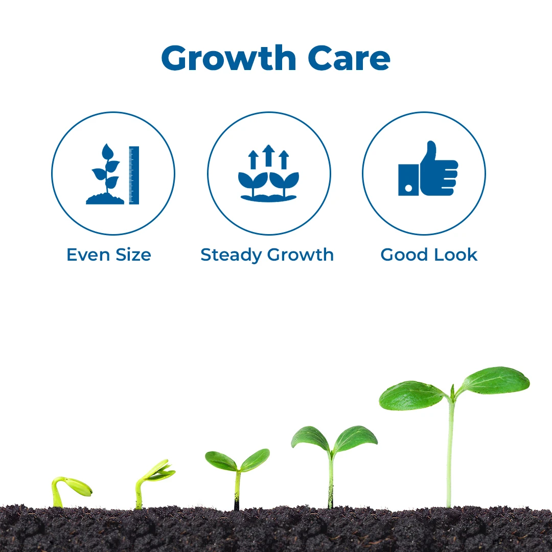 Anand Agro Tomato Special, It Helps In Uniform Size, Attractive Shape, Luster of Tomato - Image 3