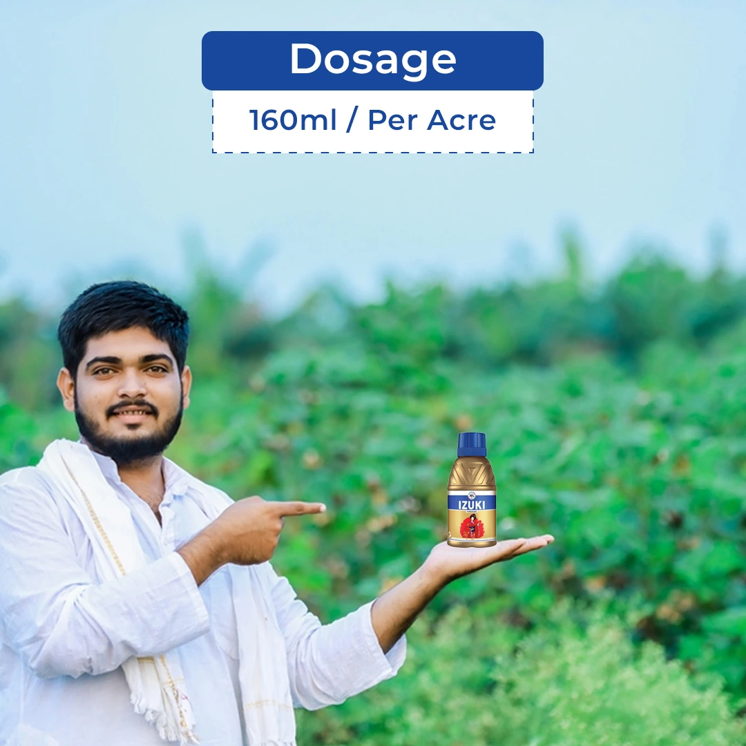 IIL Izuki Thifluzamide 26% + Kasugamycin 6% SC Fungicide, Advanced Disease Control For Paddy - Image 5