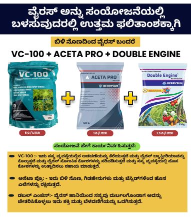 VC-100 - Aceta Combo 500g Green (For 100 Liter Spray) For other than Chilli and Capsicum. Not Applicable with Fungicides. - Image 2