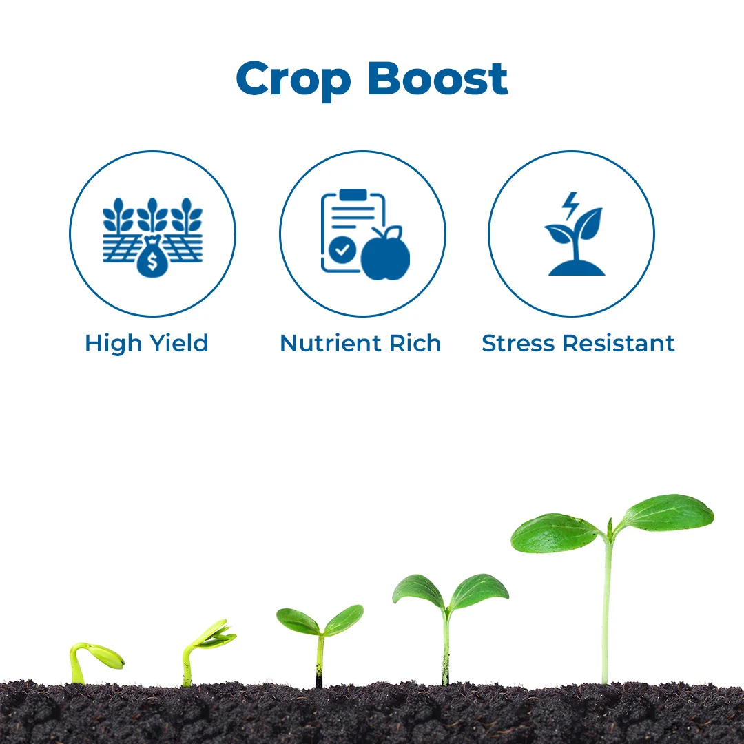 Aries Fertimax HD Npk 13:00:45 Potassium Nitrate Fertilizer, High Quality Source of Both Potassium and Nitrogen. - Image 3