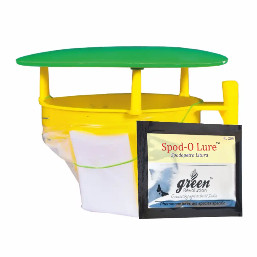 Funnel Trap with Spodo O Lure (Spodoptera Litura Pheromone) For Tobacco, Cotton, Red gram, Tomato and Chilli.