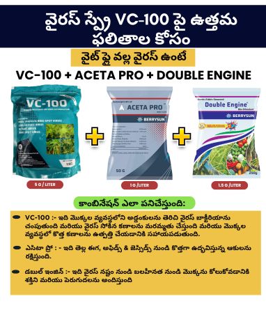 VC-100 - Aceta Combo 500g Green (For 100 Liter Spray) For other than Chilli and Capsicum. Not Applicable with Fungicides. - Image 3