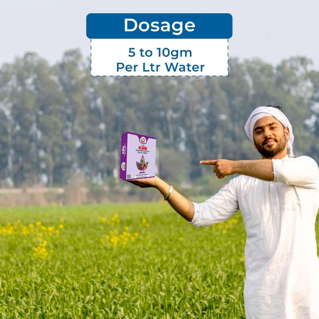 EBS KMB Potash Mobilizing Bacteria 5x10^8 CFU Bio Fertilizer, Use for Plants, Crops And Home Garden - Image 5