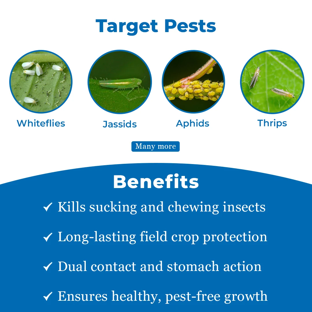 Pager Insecticide - Diafenthiuron 50% WP - Image 3