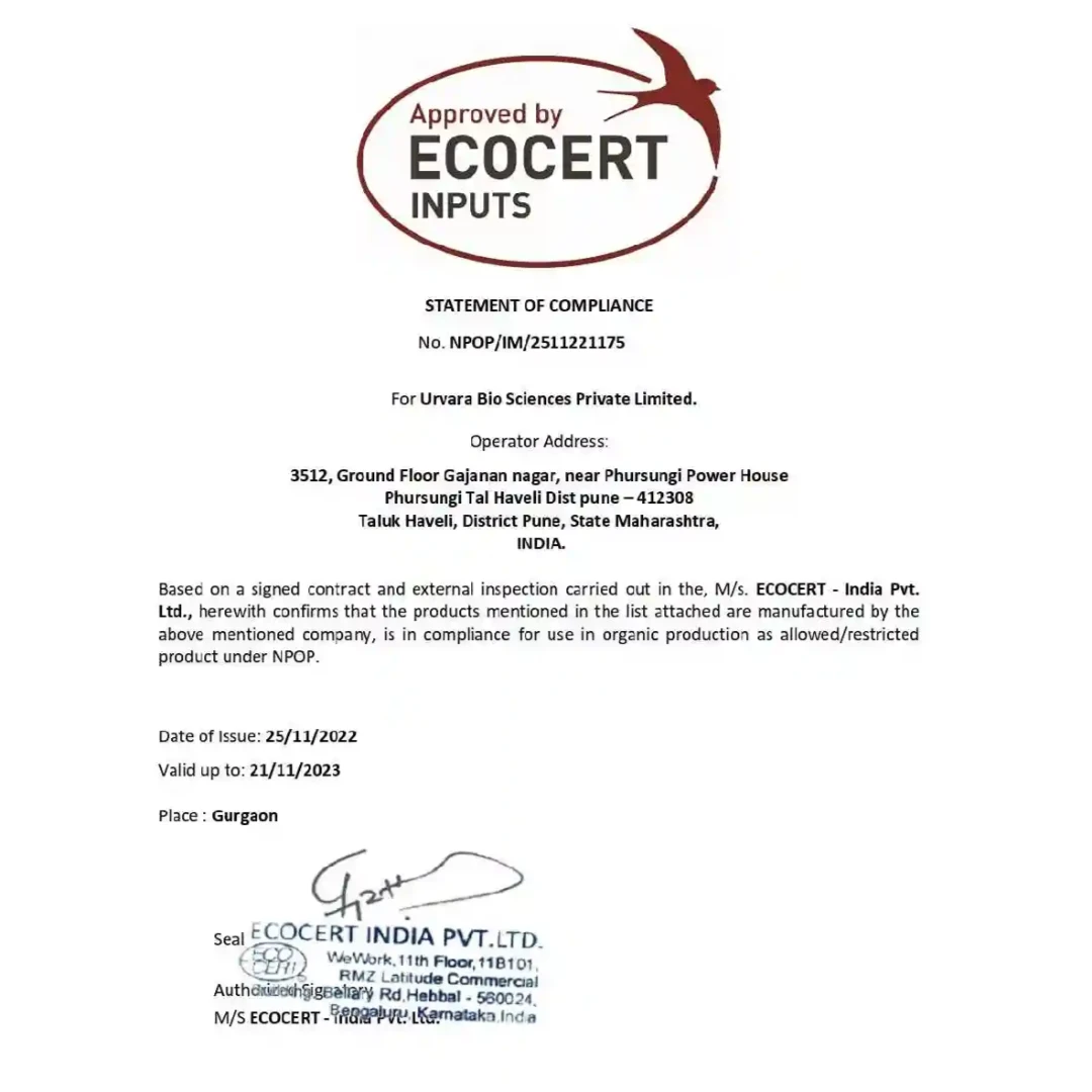 सुपर केएम - मिट्टी में पोटेशियम के घुलनशीलता और आसान अवशोषण के लिए पोटेशियम को मुक्त करने के लिए पोटेशियम मोबिलाइजिंग जीवाणु (पीएसबी) - Image 2