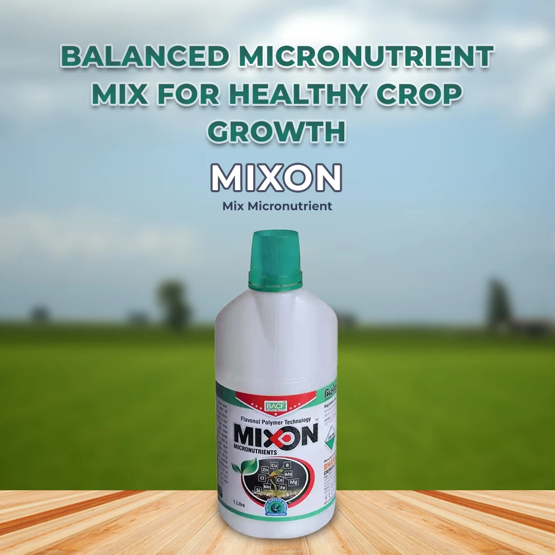 BACF Mixon Mix Micronutrient , Provides Plant Nutrition In a Wide Variety of Agriculture, Horticulture, and Ornamental Crops - Image 2