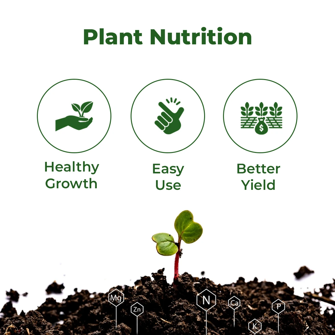 Sugarcane Special Liquid Micronutrient Mixture Fertilizer Enriched with Essential Micronutrients like Zinc, Ferrous, Boron, Copper And Manganese. - Image 3