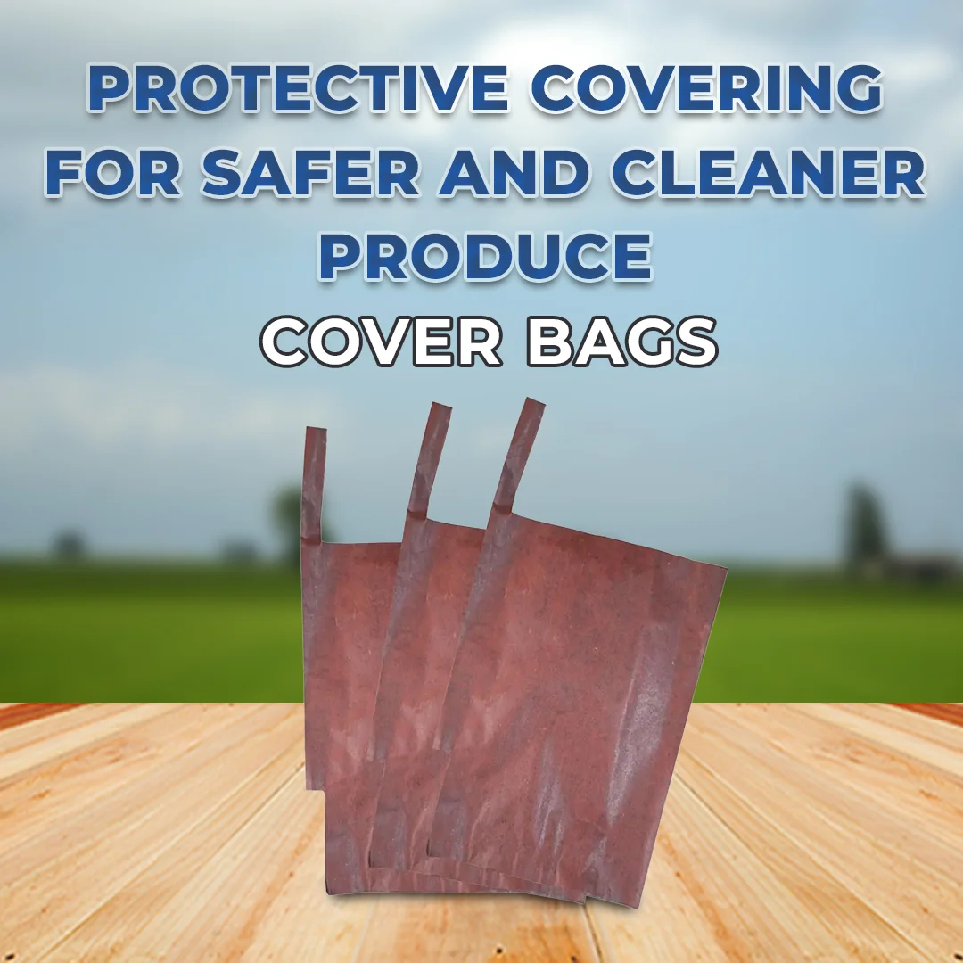 Radhe Mango Protection Bag - Image 2