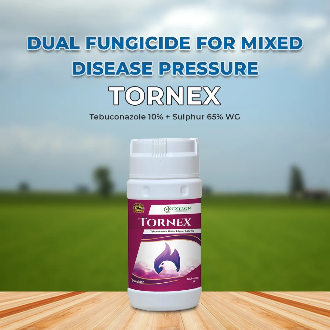 Tebsulph Fungicide | Buy Online