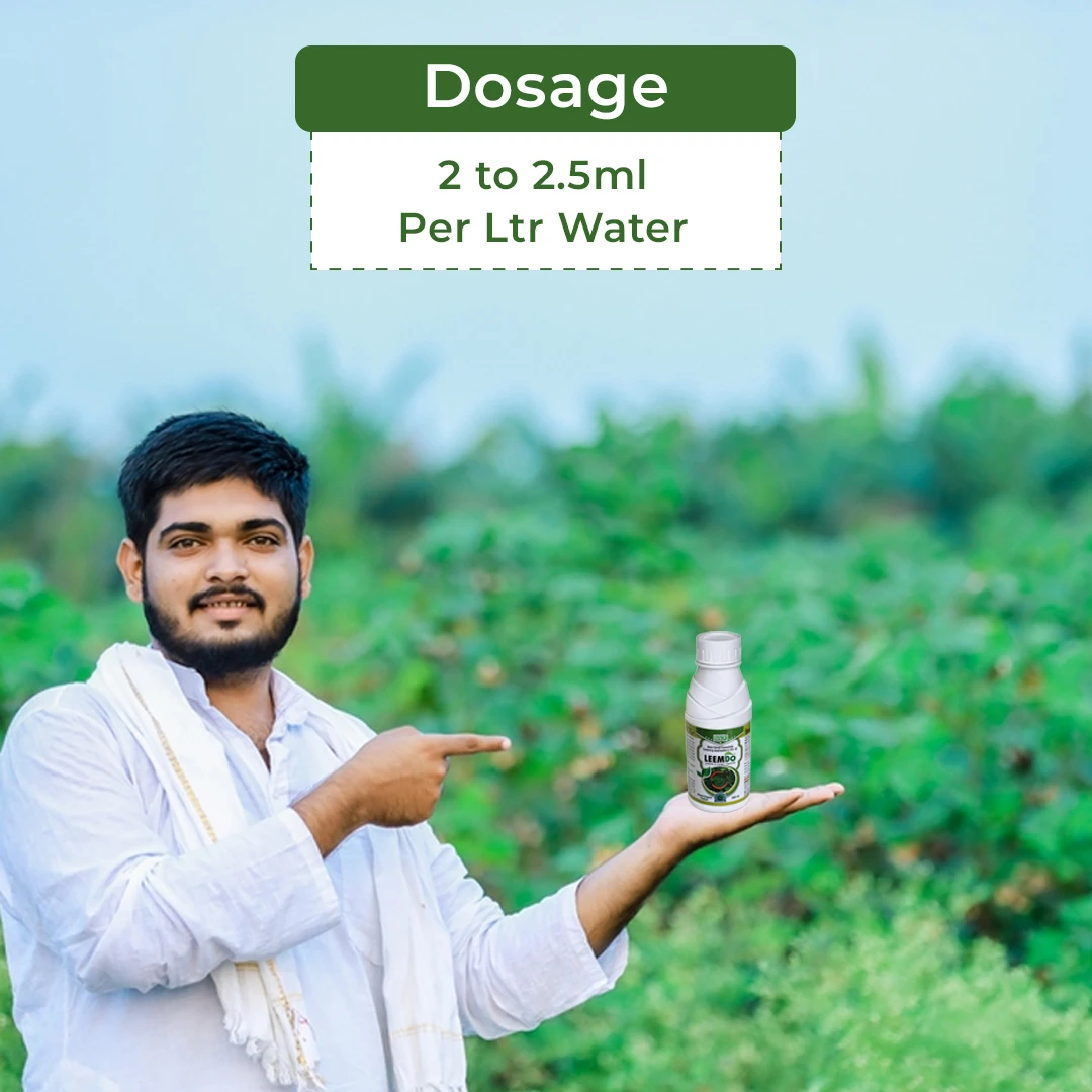 बीएसीएफ लीम्डो नीम ऑयल एजाडायरेक्टिन 1500 पीपीएम 0.15%, प्रणालीगत और संपर्क फफूंदनाशक। - Image 5