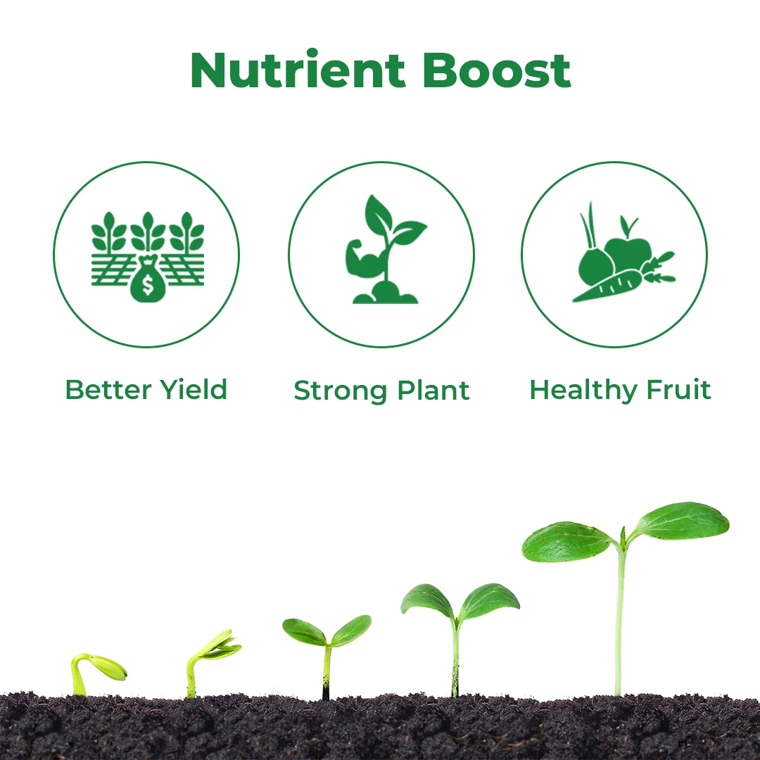 BACF Salbor Boron Ethanolamine, Liquid Boron 10% Foliar Fertilizer, Rich In Boron.  - Image 3