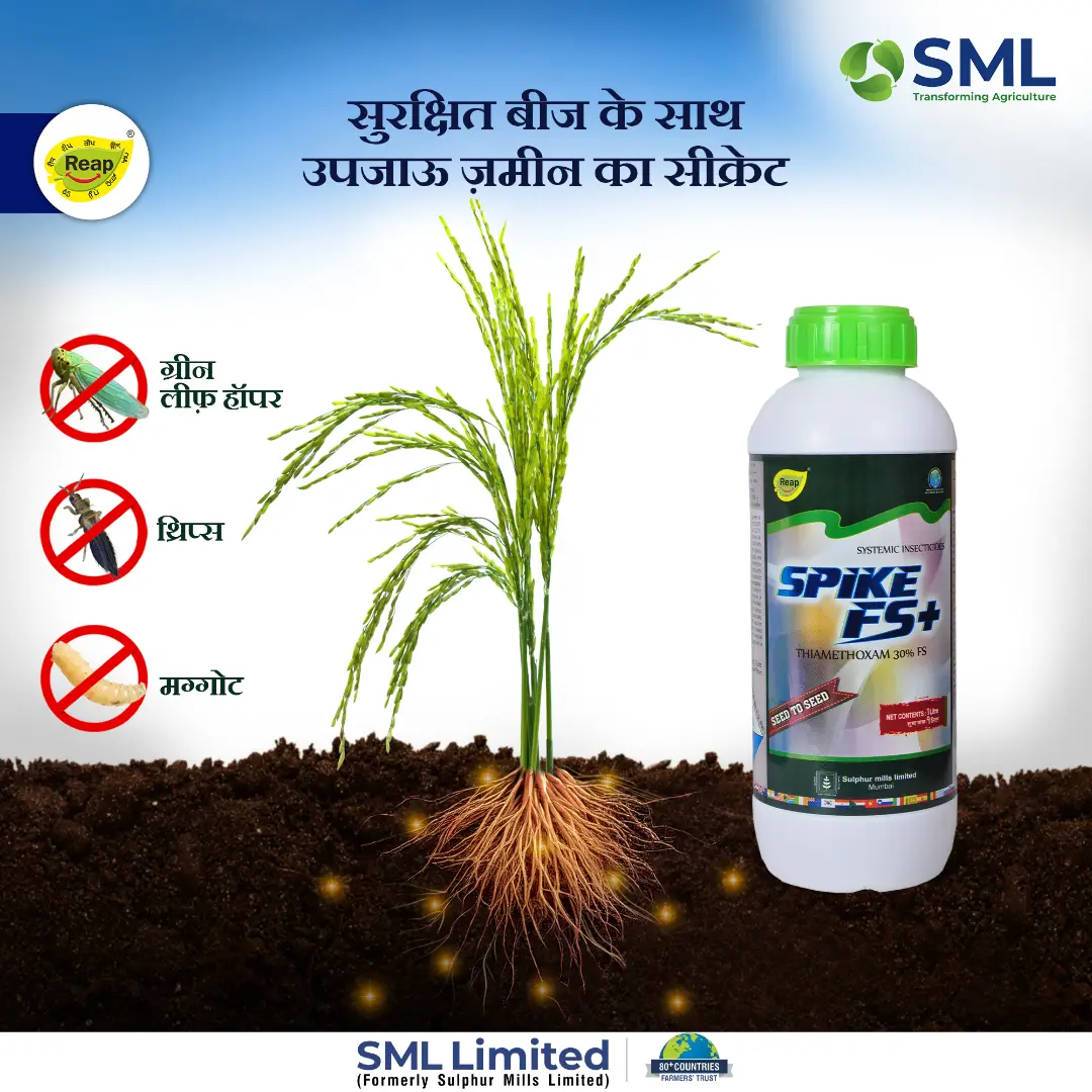SML SPIKE FS+ Thiamethoxam 30% FS Insecticide, Seed Treatment For Soil Insects And Sucking Pests Control In Crops - Image 2