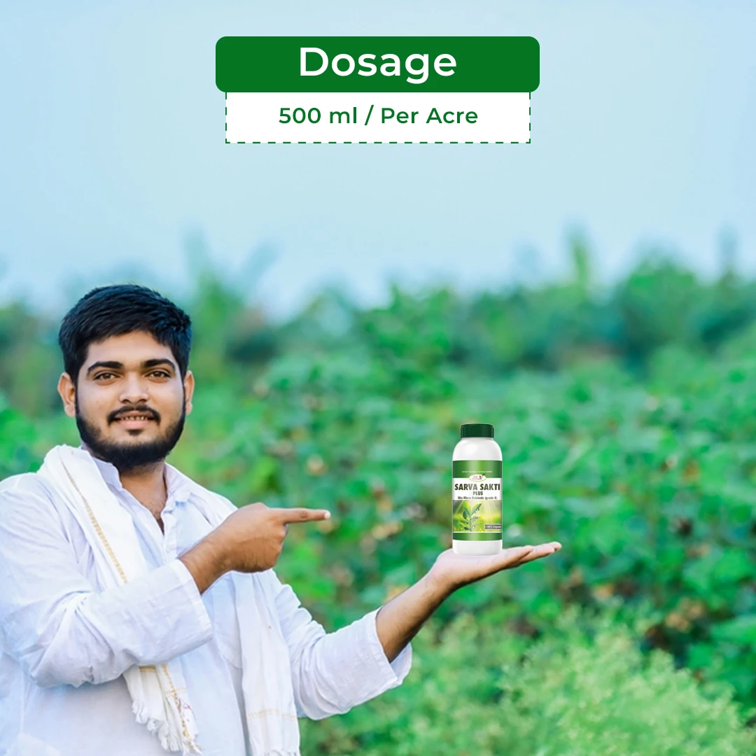 एग्रीवेंचर सर्व शक्ति प्लस मिक्स माइक्रो न्यूट्रिएंट (ग्रेड 4), 100% आयातित पानी में घुलनशील बूंद से सिंचाई उर्वरक, सभी सब्जियों और फलों के लिए उपयोग - Image 5