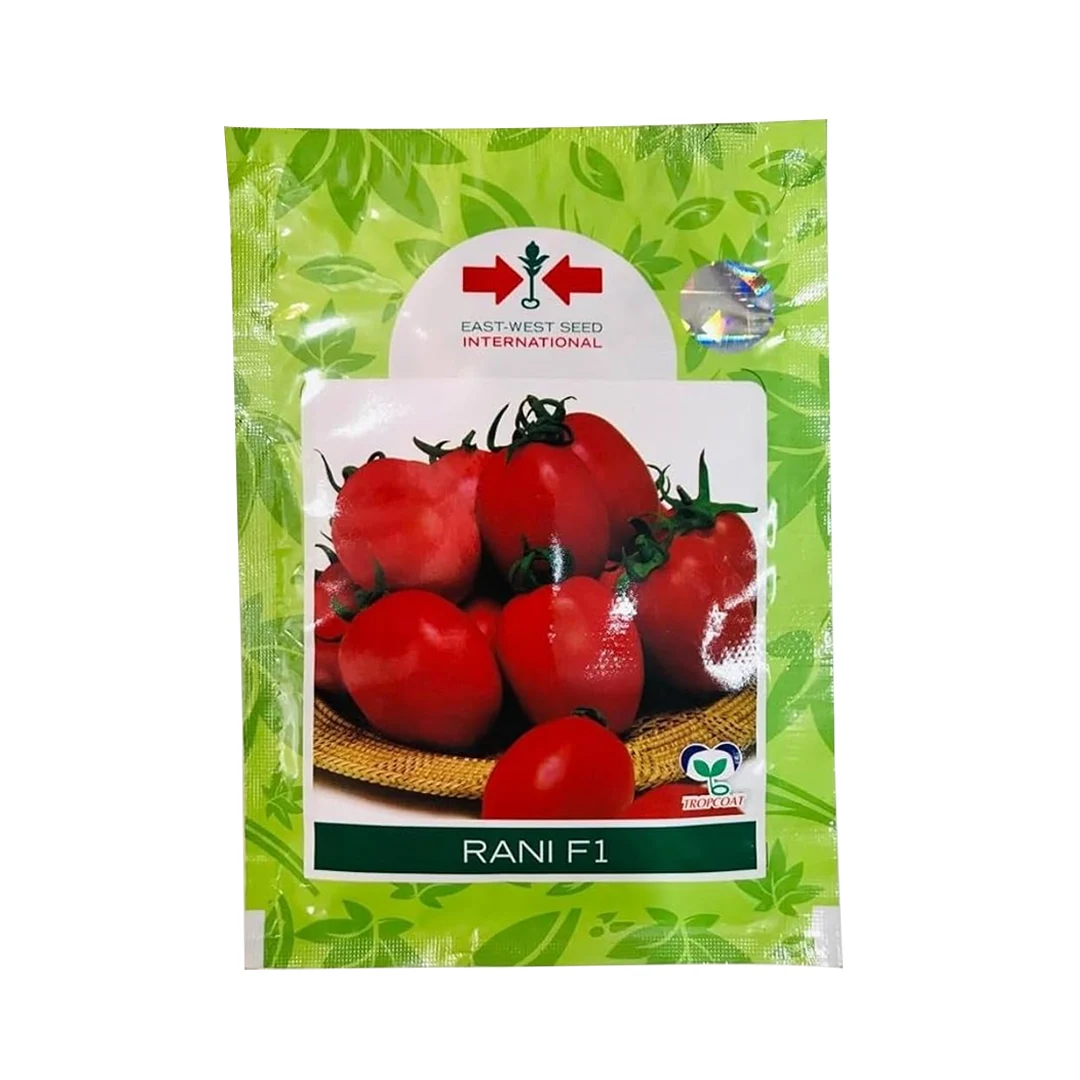 East West RANI F1 Hybrid Tomato Seed, Best For Determinate And Semi Spreading Plant