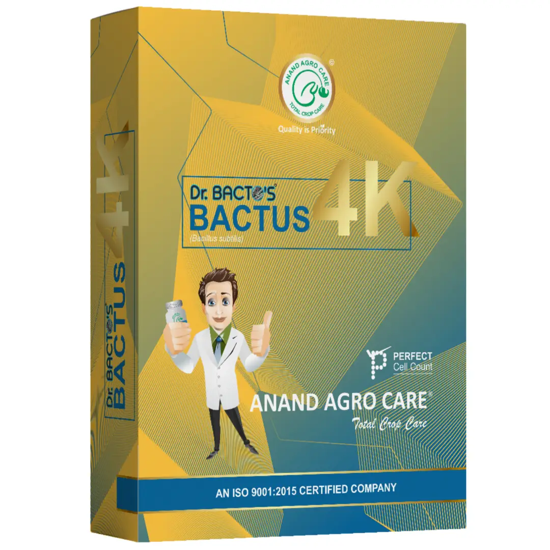 Dr. Bacto\'s Bactus 4K Bacillus Subtilis Bio-Fungicide, Inhibits Growth of Plant Fungal Pathogens and Helps to Enhance the Growth and Immunity of Plant