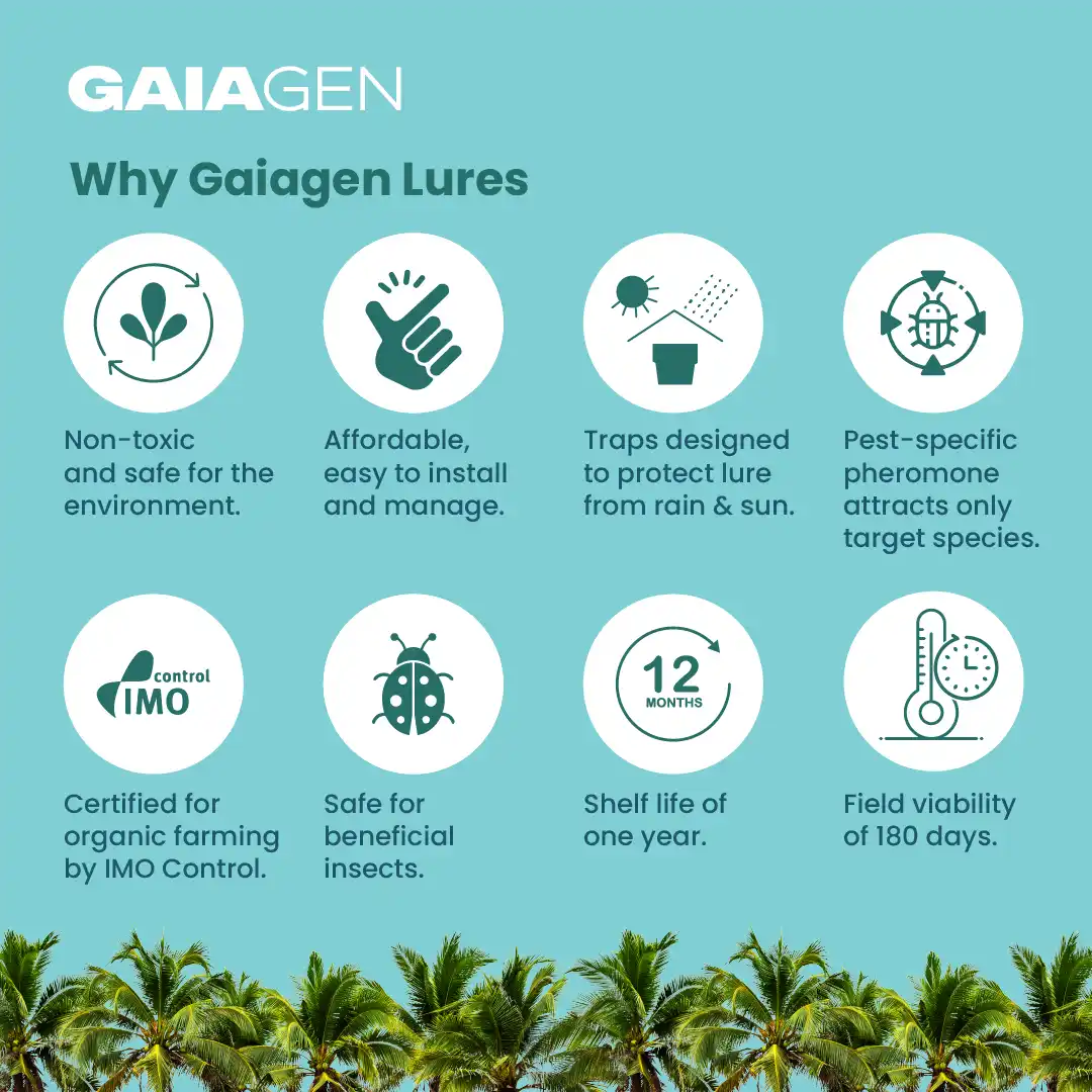 गाइएजेन आरपीडब्ल्यू फेरोमोन ल्योर और कीट बाल्टी जाल, लाल ताड़ सुंडी (राइन्कोफोरस फेरूजीनियस) के लिए, आईएमओ प्रमाणित - Image 9