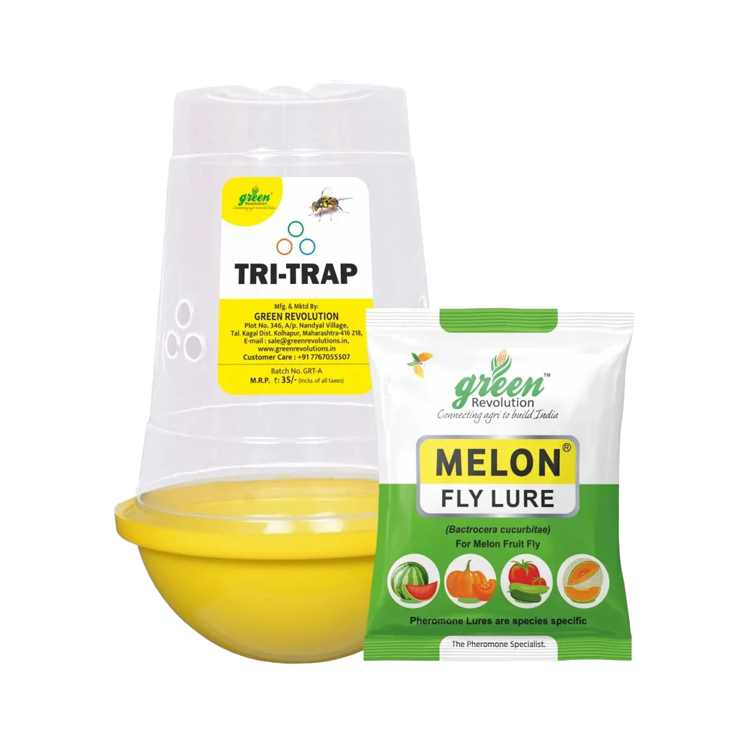 Green Revolution Tri Trap and Melon Fly Lure (Bactrocera Cucurbitae), Easy To Use & Provide Long Lasting Protection
