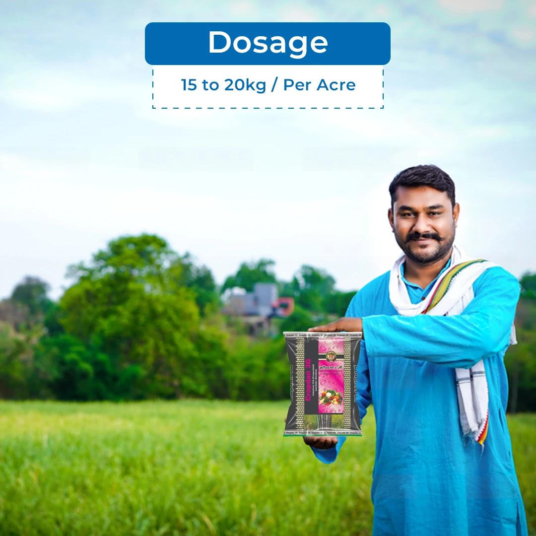 Cropdan 3G Insecticide (Carbofuran 3% CG) | Buy Online