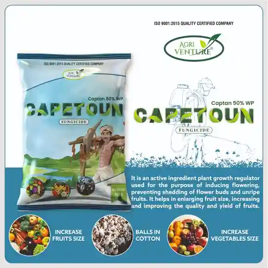 Agriventure CAPETOUN Captan 50% WP Fungicide - Image 3