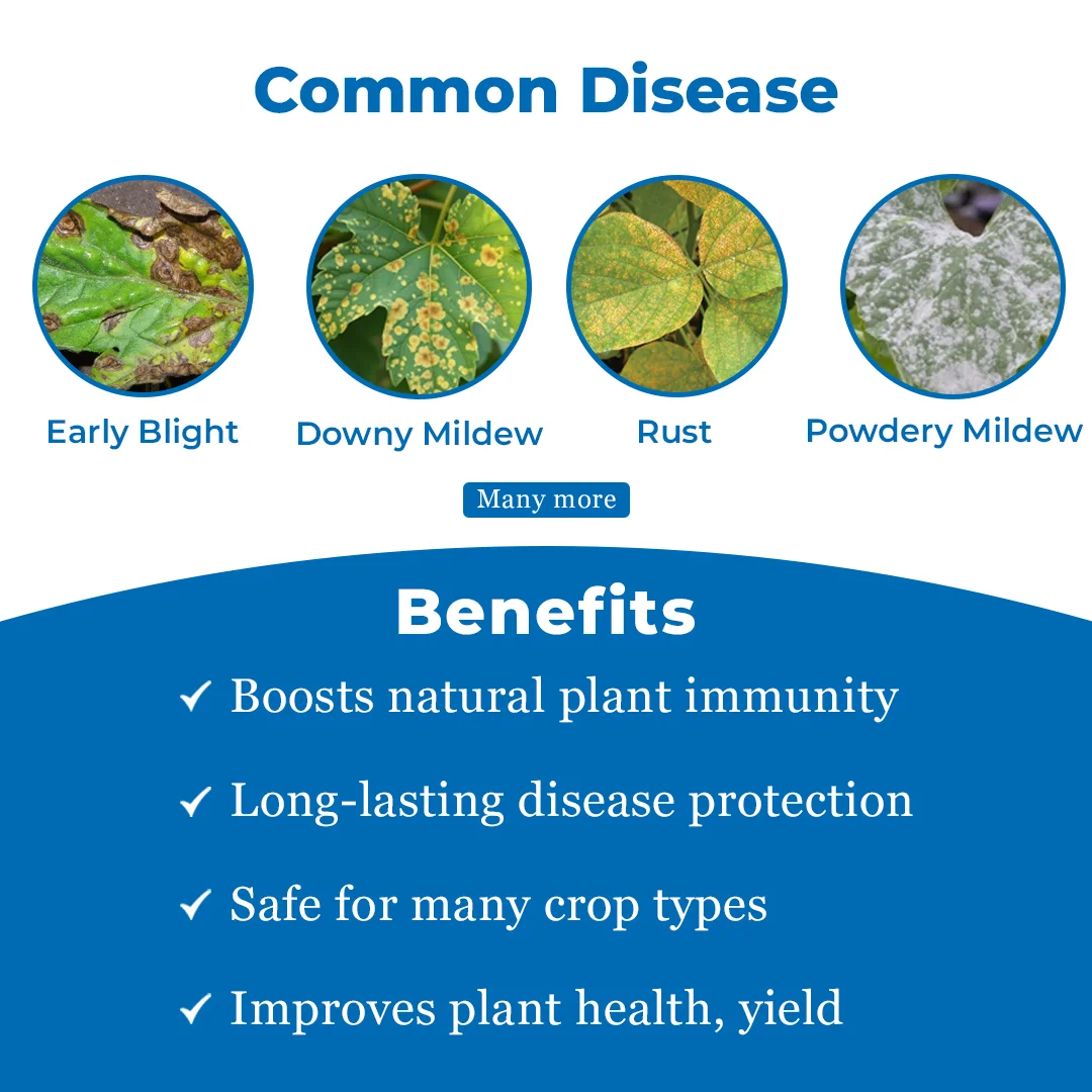 FMC Centaurus Tebuconazole 6.7% + Captan 26.9% SC Fungicide, Control Fungal Diseases for Multiple Crops - Image 3