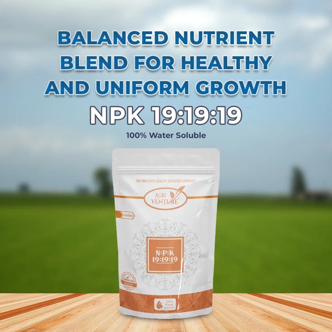 एग्रीवेंचर एनपीके 19:19:19 - आयातित, 100%  पानी में घुलनशील बूंद से सिंचाई और पत्तियों पर छिड़काव के लिए उर्वरक। - Image 2