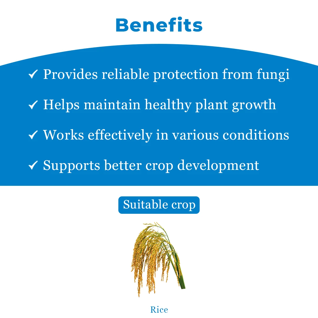 Agriventure Tri Cycle Tricyclazole 75% WP Fungicide, Wettable Powder, Systemic Fungicide - Image 4