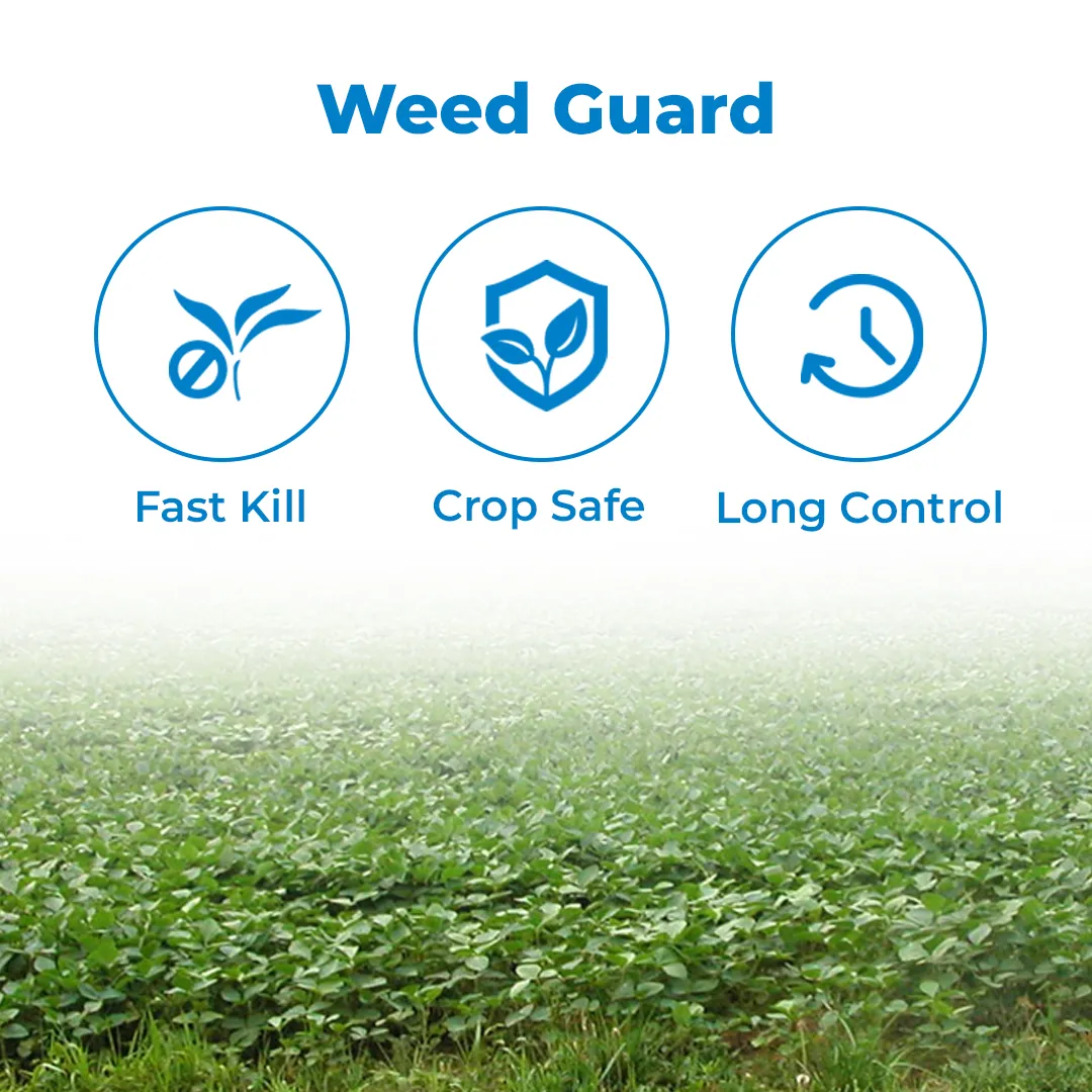 Btrail & Surfactant Herbicide - Imazethapyr 10% SL - Image 3