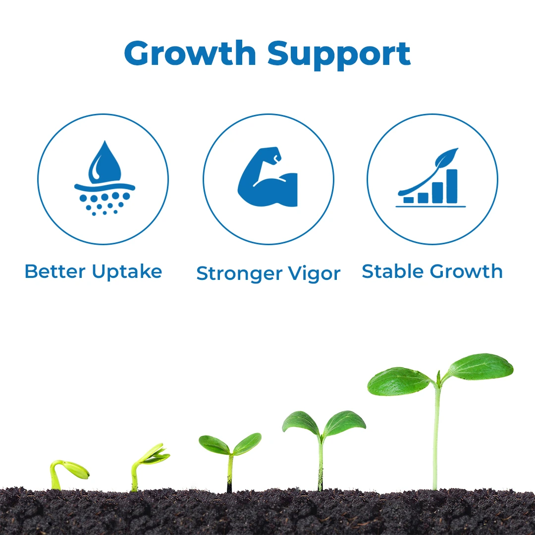 Anand Revital F - 98% (Fulvic Acid) Helps To Uptake of Nutrients, Increases The Rate of Metabolism - Image 3