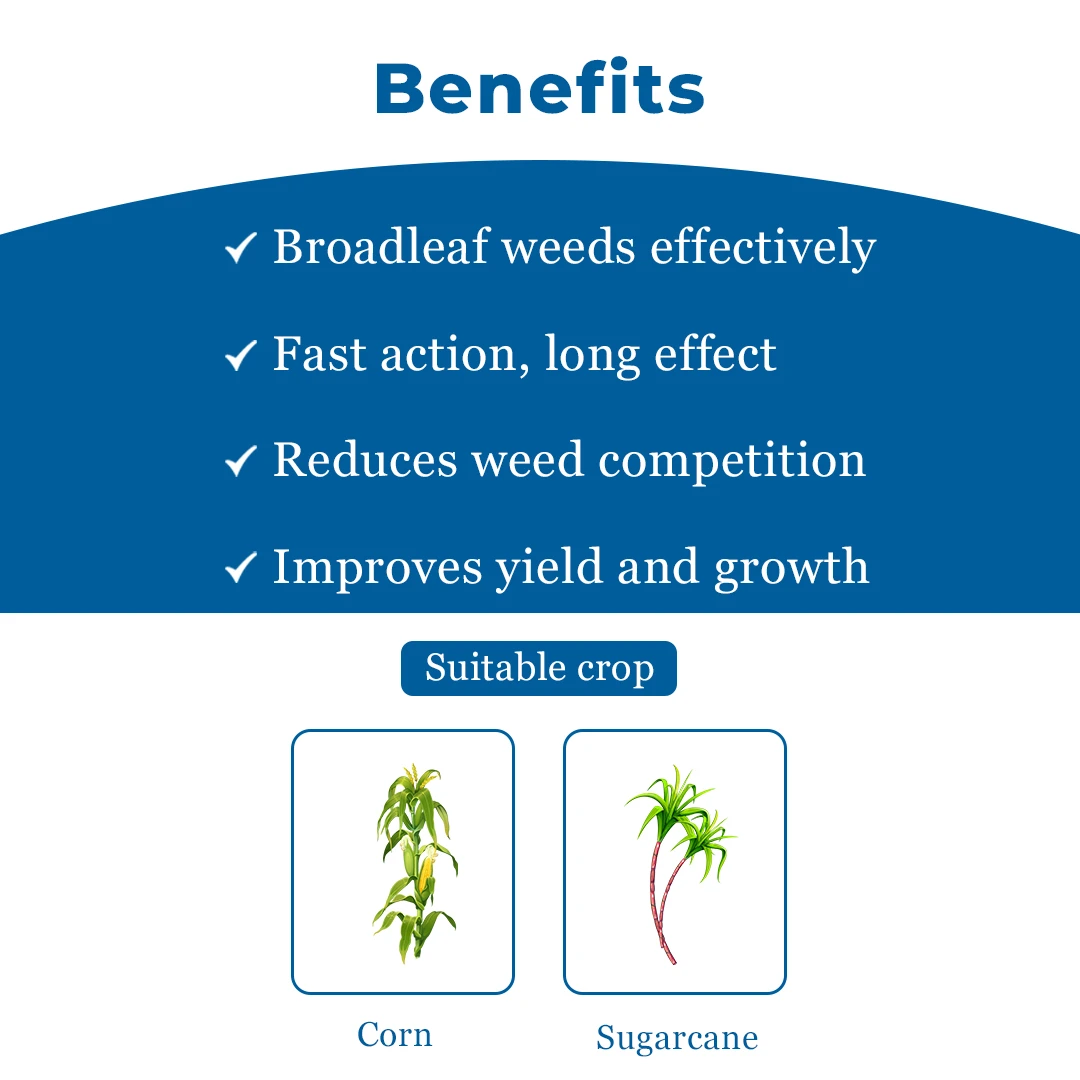 Laudis + Foost Maize Suraksha Combo (57.5ml Laudis & 200ml Laudis Surfactant + Foost 250 gm). A special treatment to control weeds in maize. - Image 4