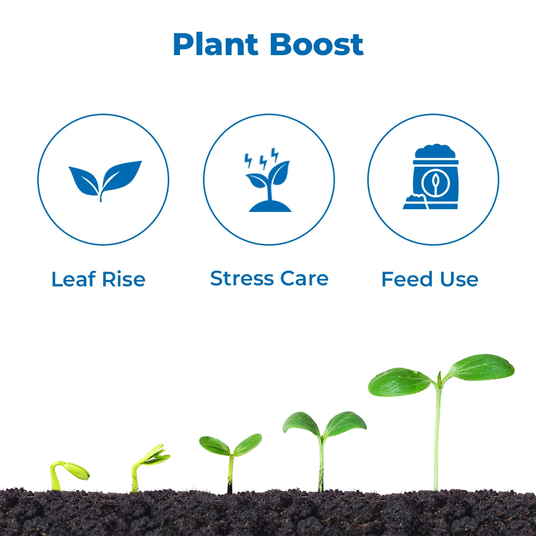 आनंद सी रूबी (तरल) - हरा समुद्री शैवाल अर्क, प्राकृतिक N.P.K प्रदान करता है, जड़ों और कलियों के विकास को सुधारता है। - Image 3